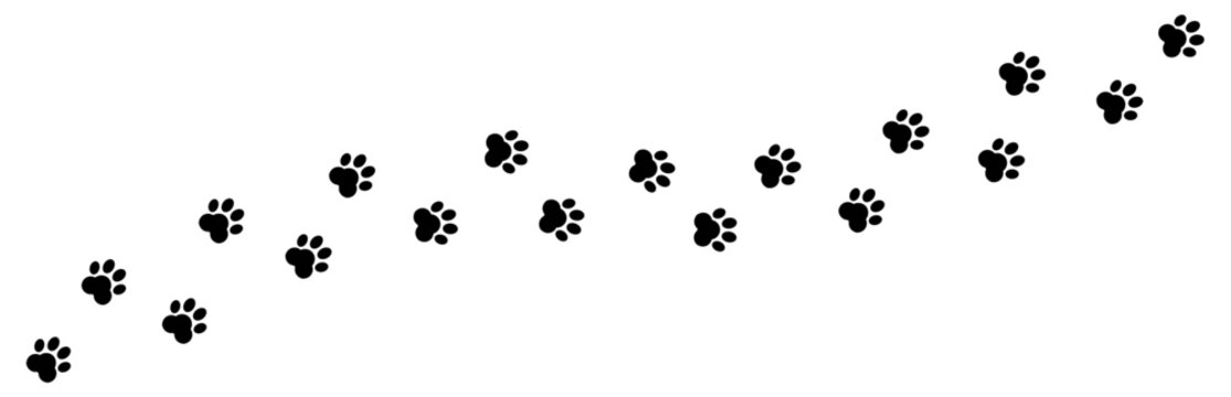 Paw Footprint Walk Steps Pattern of dog or cat wild animal on Transparent White Background