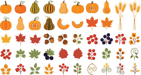 Autumn Harvest Elements Set with Pumpkins Leaves Berries Wheat Acorns Fall Foliage Thanksgiving Seasonal Vector Illustration Collection © MdAbuSayed