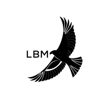 LBM Flying Eagle Silhouette Logo Vector, LBM LATER LOGO, Minimal Black Bird Emblem Design
