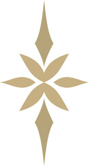 Elegant Logo Decorative Symbol © yana2607