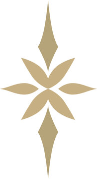 Elegant Logo Decorative Symbol