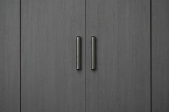 puerta de placar