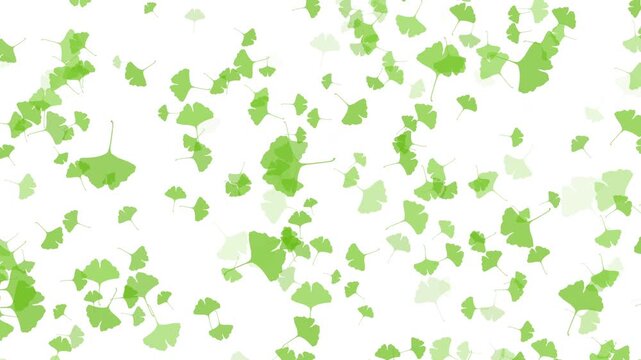 紅葉 いちょう 大小 下降 みどり パターン01 ループ（白背景）