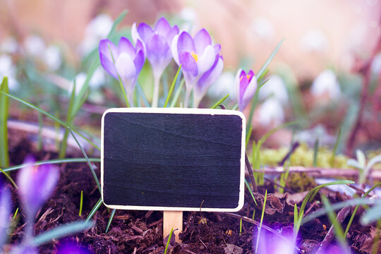 Angebot im Fr&uuml;hling Osterangebote