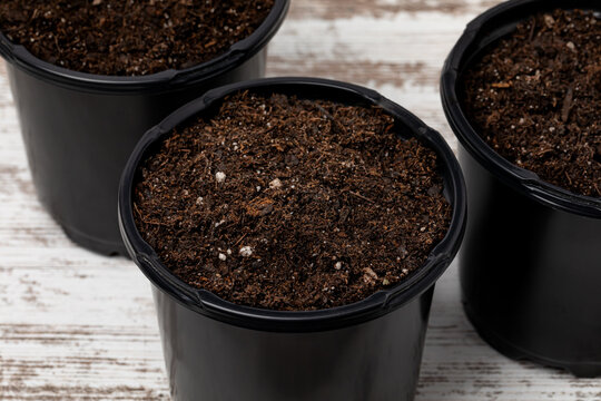 Potting soil mix in nursery pots. Repotting plants, flower gardening and plant care concept.