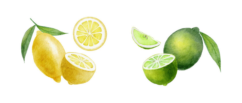 Watercolor lemon and lime fruit set, hand-painted fresh yellow and green citruses with slices and leaves-300dpi-	