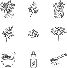 Herbs and spices outline icons set with fennel dill seeds mortar pestle bottle spoon herbal cooking vector illustration collection
