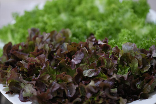 Different fruits and vegetables