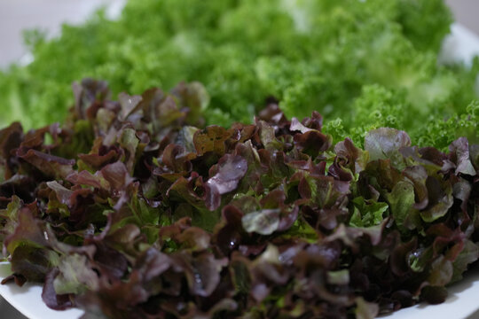 Vegetables from your favorite garden