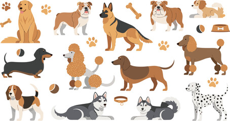 Domestic Dog Breeds Collection with Labrador, Bulldog, German Shepherd, Dachshund, Poodle, Beagle, Husky and Dalmatian Cartoon Pet Vector Set. © MdNazmul