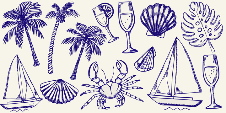A collection of hand drawn tropical elements including shells boats and drinks