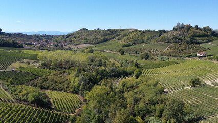 Fototapeta premium Barbaresco village and Langhe vineyards in Piedmont, Italy
