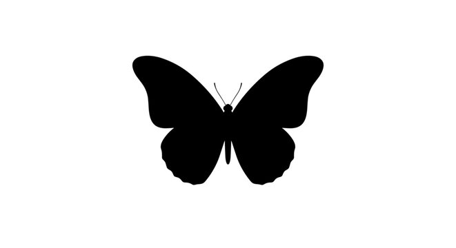Black Butterfly Silhouette Flying.