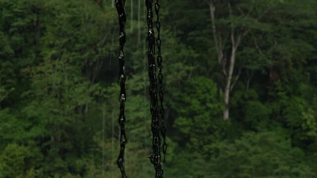 Rain chain dripping in heavy rain, water drops on metal chains with tropical forest background