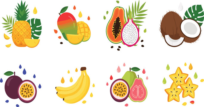 Tropical Fruit Collection with Pineapple, Mango, Papaya, Dragon Fruit, Coconut, Banana, Passion Fruit, Guava and Starfruit Vector Illustration Set.