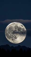Fototapeta premium Full Moon Rising Above the Horizon - A Nighttime Spectacle.