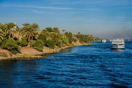 River cruise boats on the Nile with palm-lined shore