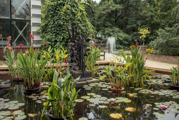 Obraz premium Aptekarsky ogorod, Moscow, Russia, August 10 2019: Lush greenery surrounds a serene pond, featuring vibrant plants and a decorative sculpture amidst tranquil waters