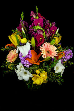 Spring flower bouquet including daisy, tulip, calla lily, snap dragon on a black background.