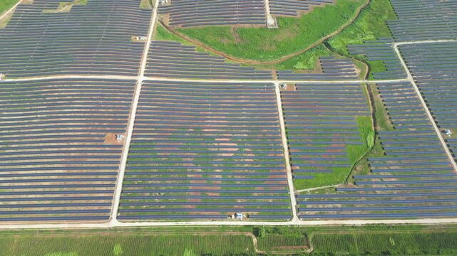 Vast expanse of green plants from above