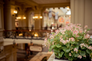 Moscow, Russia, August 11 2019: A cozy corner in GUM with colorful benches and potted flowers,...