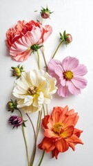 Obraz premium Colorful flowers arranged artistically