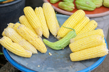 Bright yellow ears of corn and a single green bitter melon displayed together on a blue tray at a market