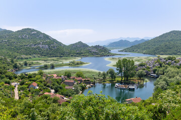 Obraz premium River Rijeka Crnojevića in Lake Skadar National Park, Montenegro