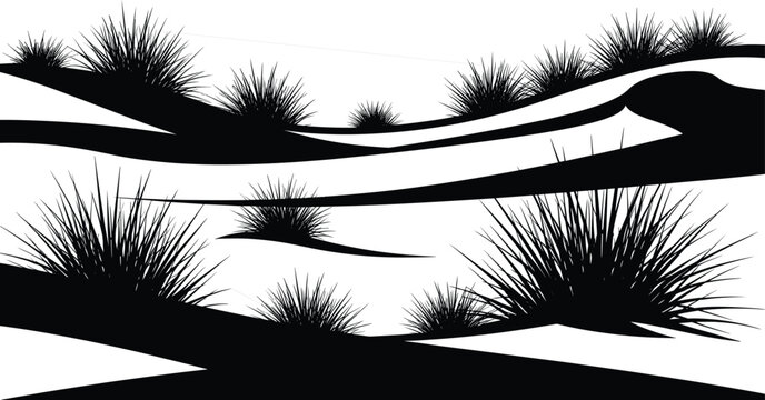 Abstract desert landscape with wild grass silhouettes, arid sand dunes terrain layers, natural horizon scene, black vector nature background for design and illustration