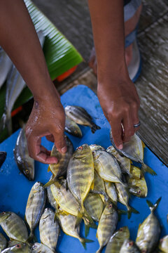 A man's hand will take a pompano fish which is stored on a blue pedestal