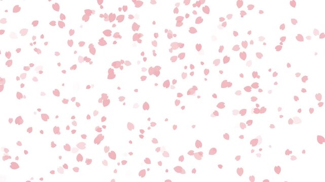 桜 花びら 小 左から右 横方向 パターン01 濃い桜色 ループ（白背景）