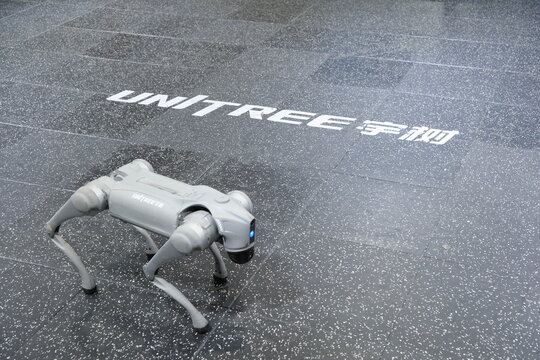 Shanghai,China-March 15th 2026: Unitree Go2 quadruped robot dog with brand logo