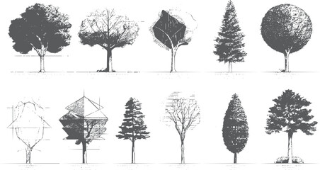 Collection of ten diverse tree in grey scale showing various shapes and textures outline silhouette © Pixel Park