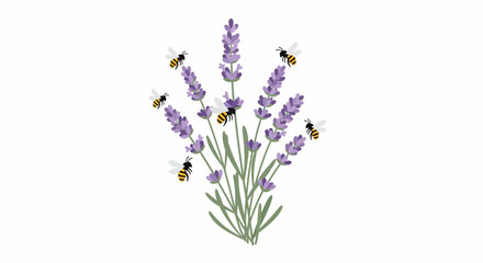 Obraz premium Lavender Flowers with Bees.