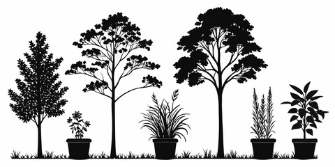 Silhouettes of various trees and plants in a garden setting © AF