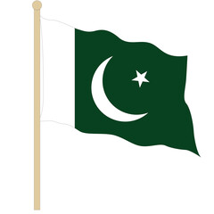Waving Pakistan national flag vector illustration isolated on white background