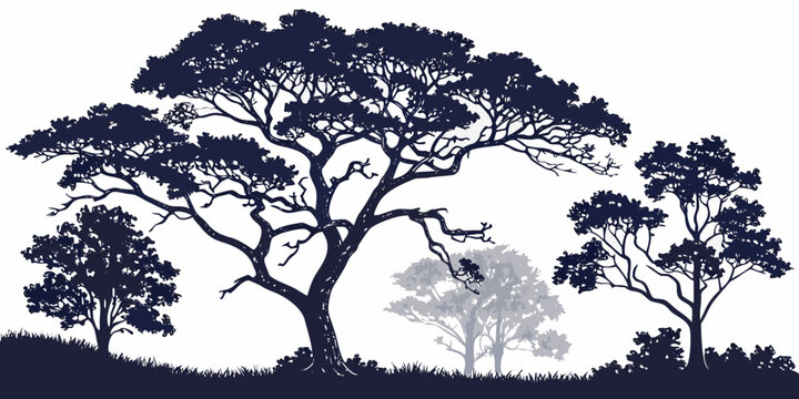 A serene scene of two large trees standing tall under a starry night sky