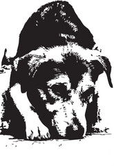 vector illustration of a dog