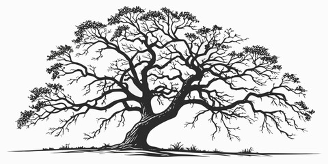 A majestic tree with sprawling branches and intricate details stands tall against a plain background © Mamun