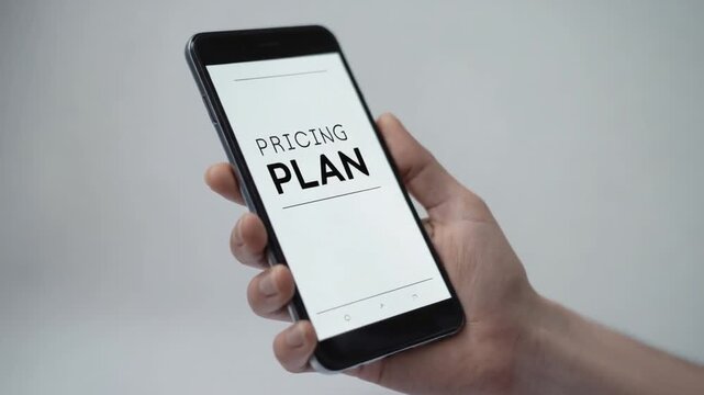 Pricing plan for a website.