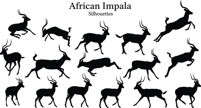 African impala silhouette collection, antelope wildlife jumping and running poses set, savanna animal silhouettes isolated, African safari wildlife design elements