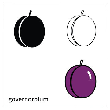 Governor plum fruit vector illustration set isolated on transparent background design element