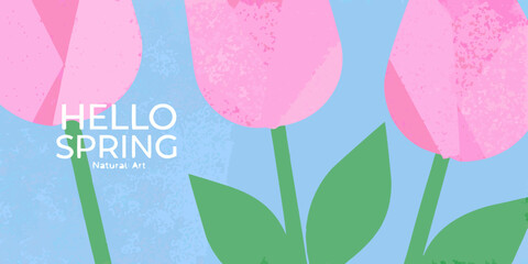Pink tulips with a hello spring greeting on a blue background © Ripan