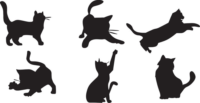 Black Cats in Different Poses Isolated on White Background