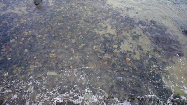 A top-down video of clear Atlantic ocean water gently rippling over a volcanic rocky seabed near the shoreline.