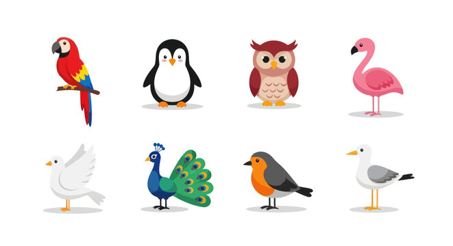 Colorful birds collection on white background