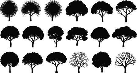 Comprehensive set of tree vector silhouettes featuring various species and shapes including palms, deciduous canopies, and bare winter branches for landscape architecture and environmental design. © NR