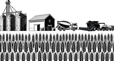 Agriculture wheat field harvest scene vector illustration, grain silo barn combine harvester tractor farm truck rural farming landscape and crop production concept © It's Majed Here