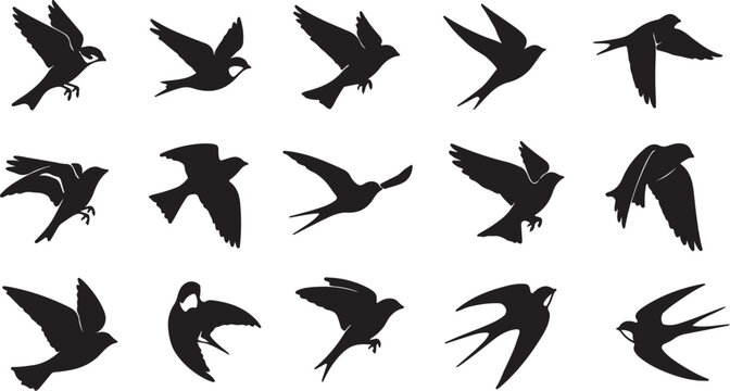 A collection of fifteen unique black silhouette illustrations of birds flying in various positions