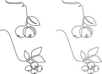 Minimalist continuous line art and dashed line style illustrations of fresh blueberry clusters Vector © Servo
